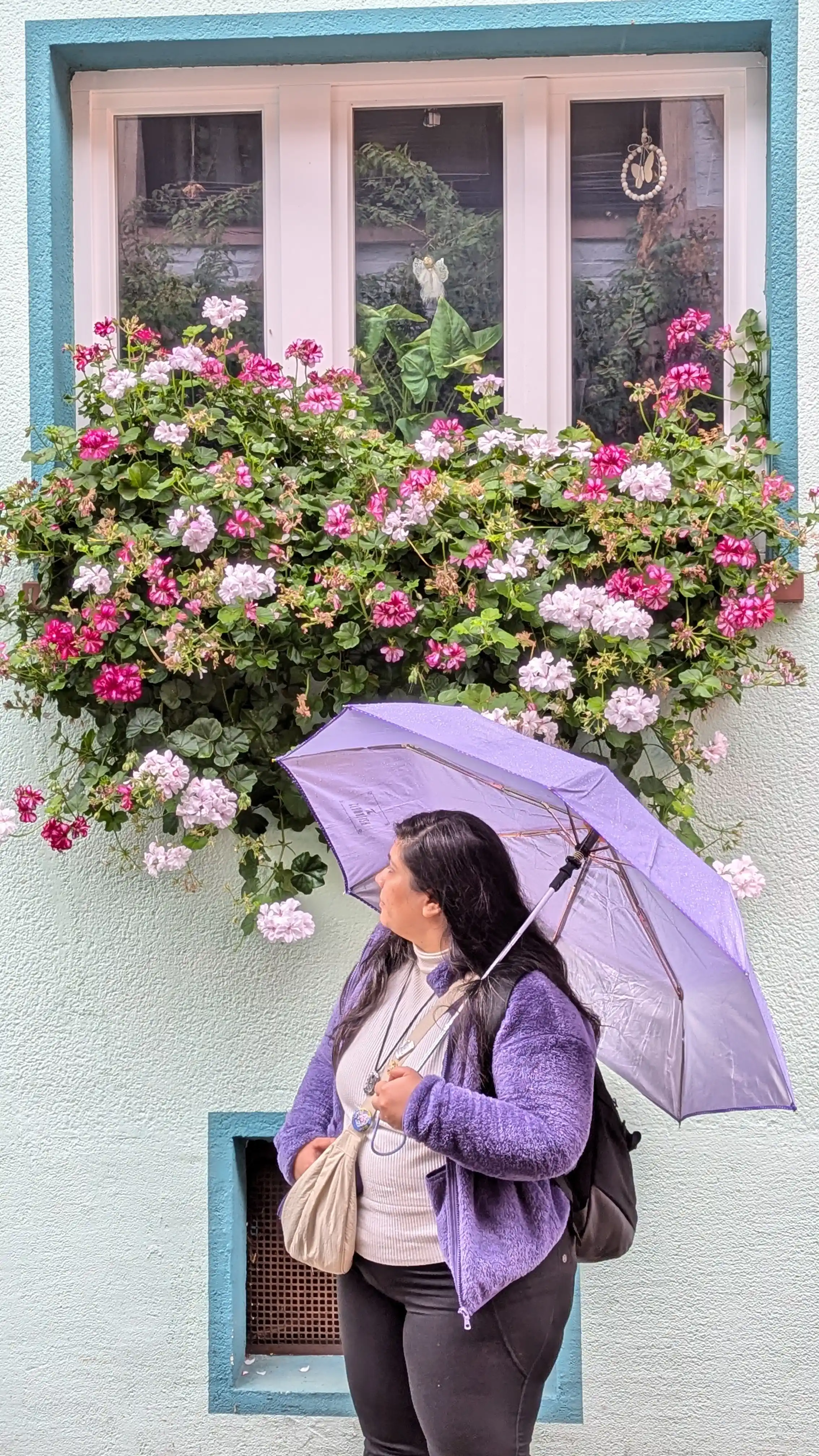 Travel Capture